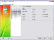 EMS Data Export 2005 for SQL Server screenshot